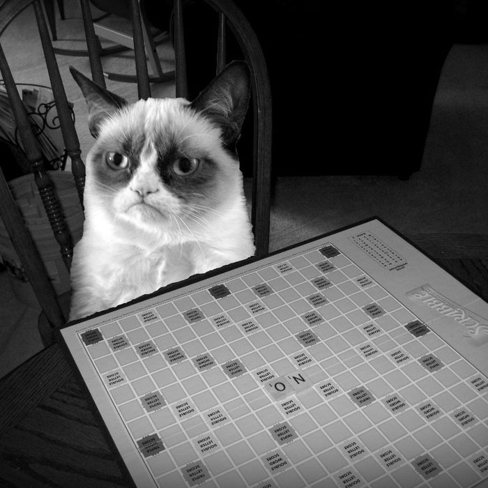 Board Games for Cat Lovers