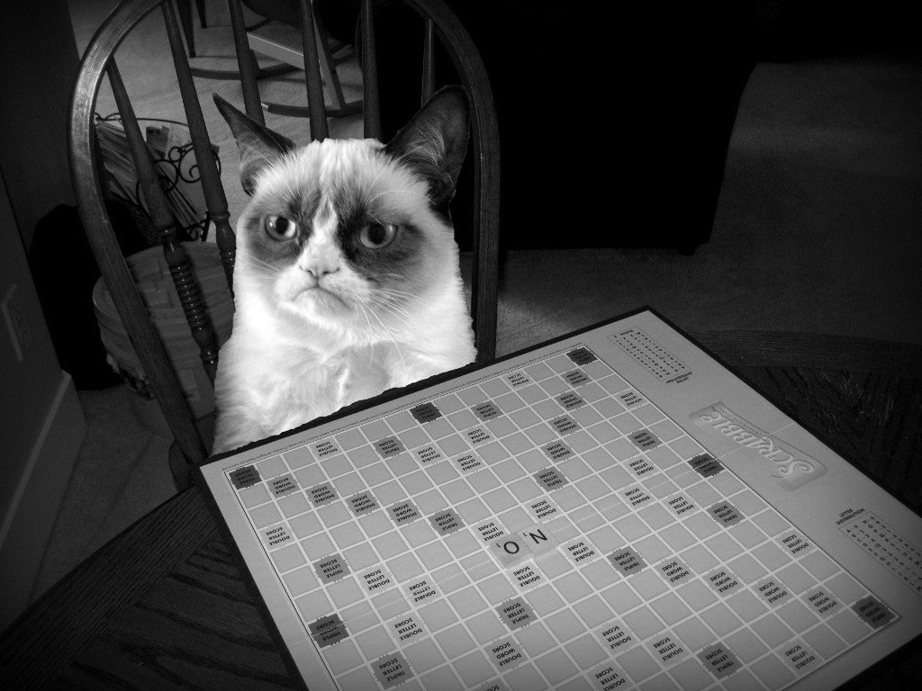 Board Games for Cat Lovers