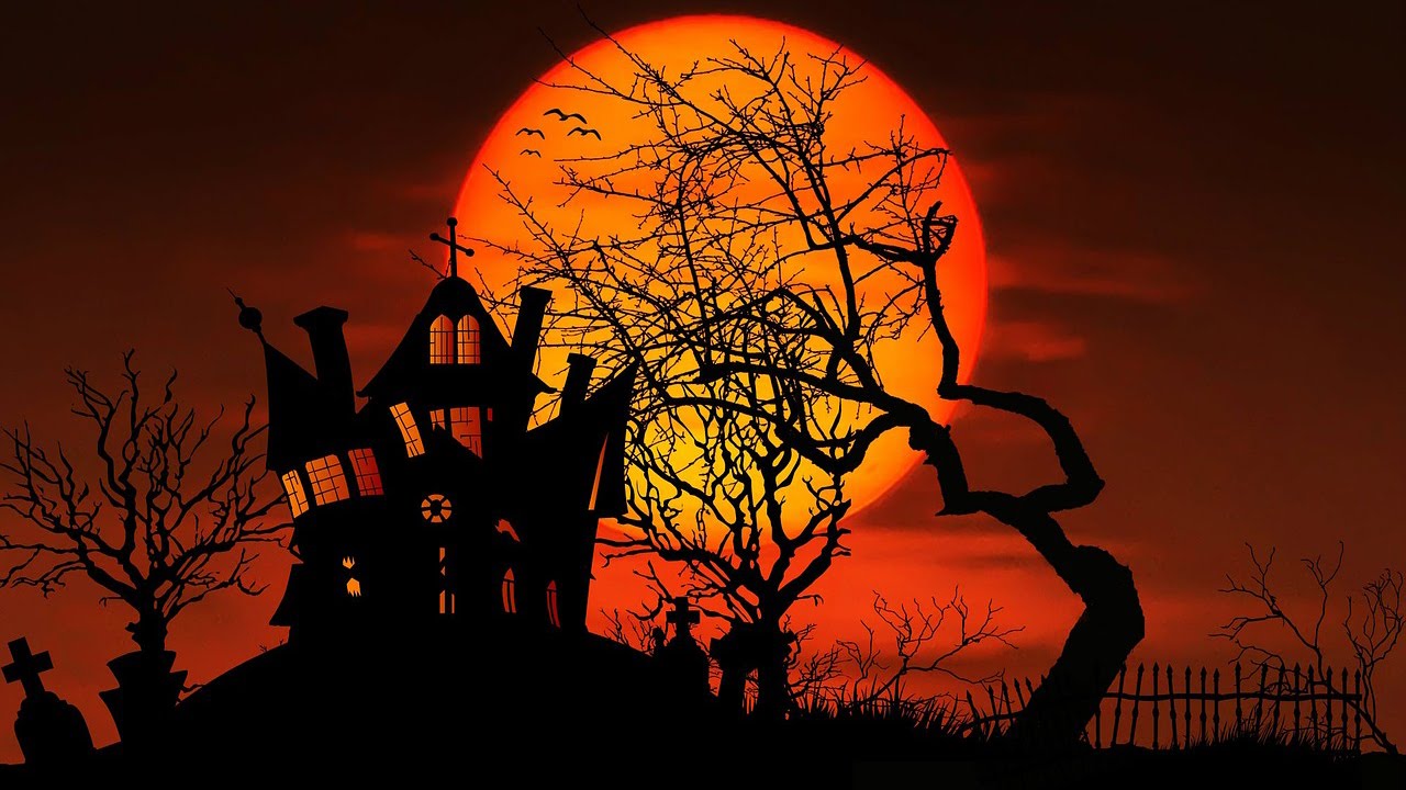 Our Top 10 Haunting Halloween Favourites!