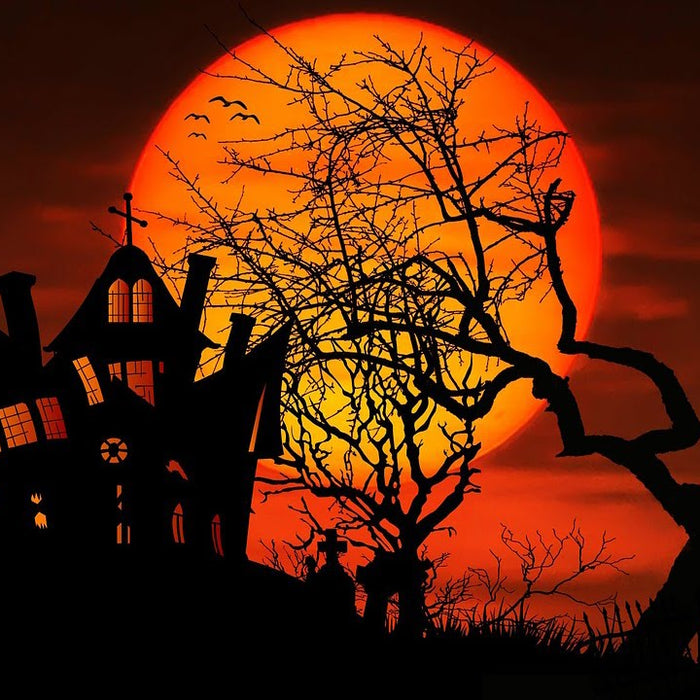 Our Top 10 Haunting Halloween Favourites!