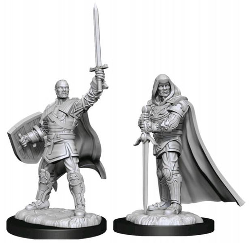Human Paladin Male: D&D Nolzur's Marvelous Unpainted Miniatures (W13)
