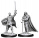 Human Paladin Male: D&D Nolzur's Marvelous Unpainted Miniatures (W13)