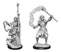 Firbolg Druid Female: D&D Nolzur's Marvelous Unpainted Miniatures (W13)