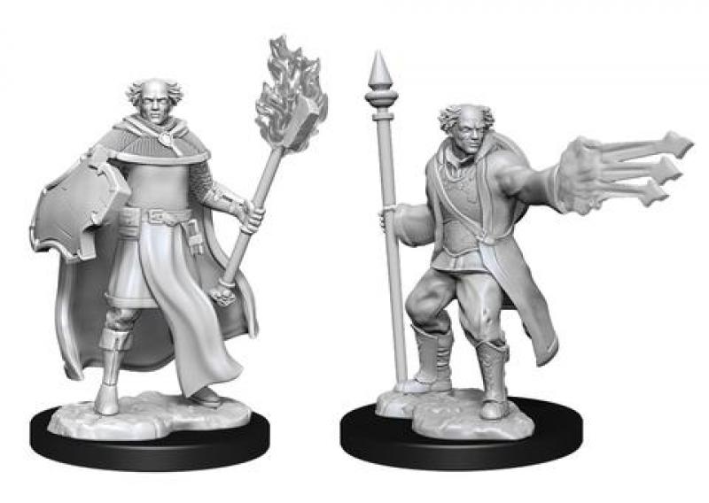 Multiclass Cleric+Wizard Male: D&D Nolzur's Marvelous Unpainted Miniatures (W13)