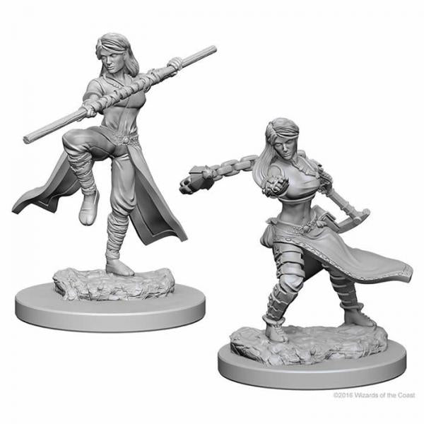 D&D Nolzur's Marvelous Unpainted Miniatures (W1): Human Female Monk