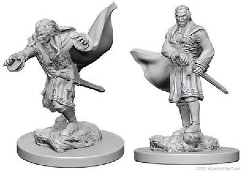 D&D Nolzur's Marvelous Unpainted Miniatures (W1): Vampires