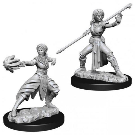 D&D Nolzur's Marvelous Unpainted Miniatures (W10): Half Elf Female Monk