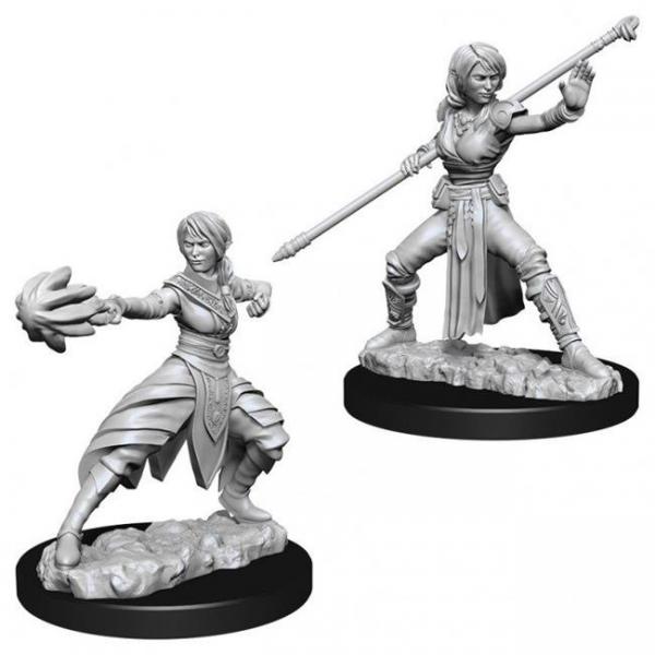 D&D Nolzur's Marvelous Unpainted Miniatures (W10): Half Elf Female Monk