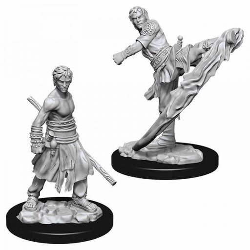 D&D Nolzur's Marvelous Unpainted Miniatures (W10): Half Elf Male Monk