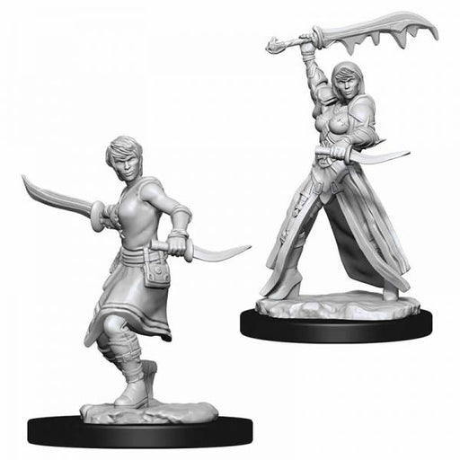 D&D Nolzur's Marvelous Unpainted Miniatures (W10): Human Female Rogue