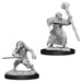 D&D Nolzur's Marvelous Unpainted Miniatures (W10): Kenku Adventurers
