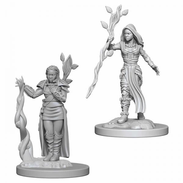 D&D Nolzur's Marvelous Unpainted Miniatures (W2): Human Female Druid