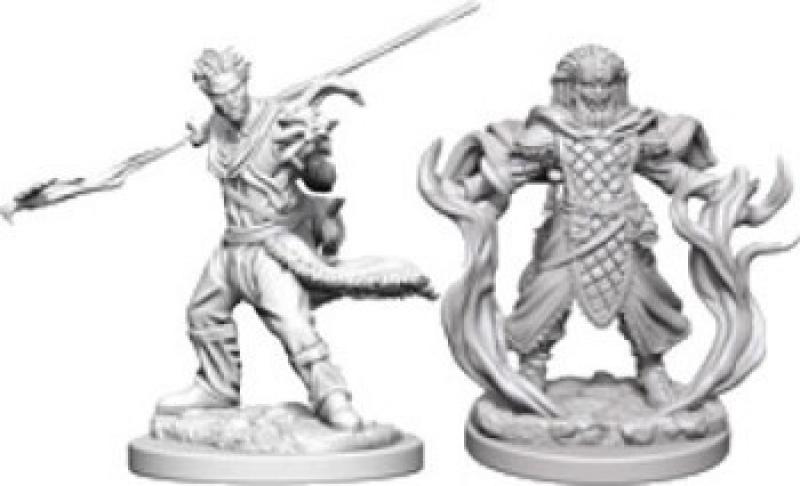 D&D Nolzur's Marvelous Unpainted Miniatures (W3): Human Male Druid