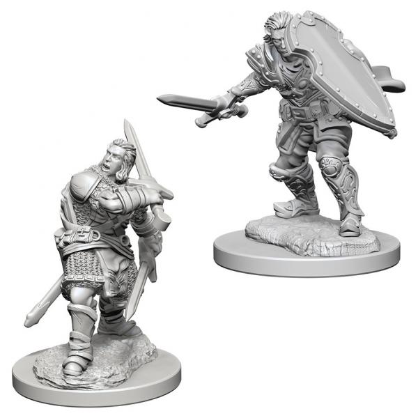 D&D Nolzur's Marvelous Unpainted Miniatures (W3): Human Male Paladin