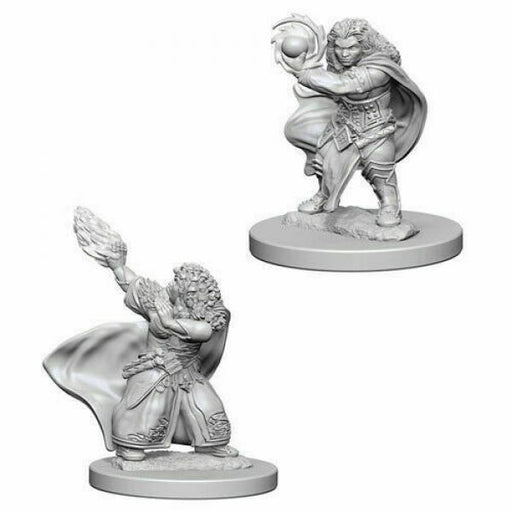 D&D Nolzur's Marvelous Unpainted Miniatures (W4): Dwarf Female Wizard