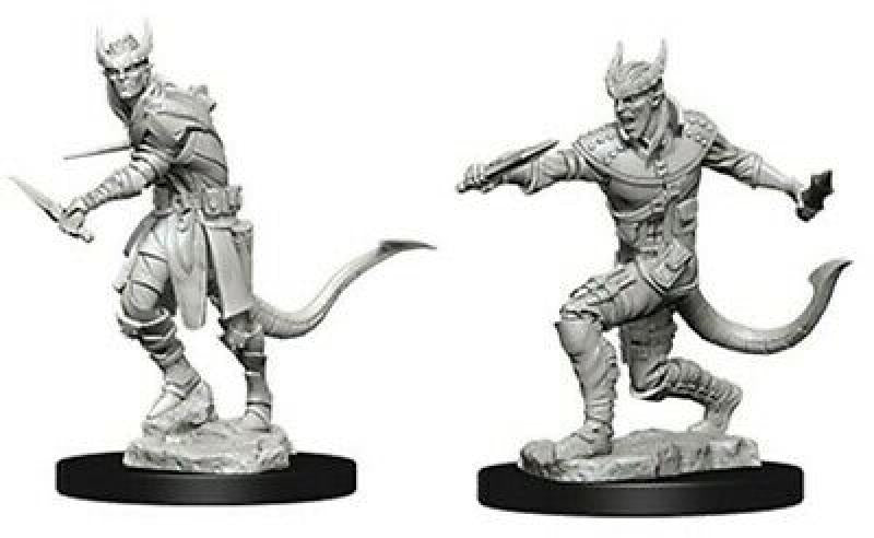 D&D Nolzur's Marvelous Unpainted Miniatures (W5): Tiefling Male Rogue