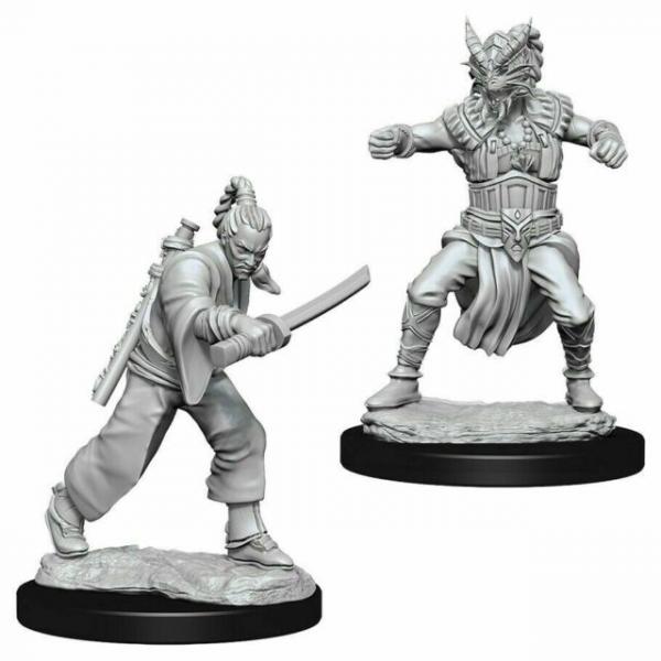 D&D Nolzur's Marvelous Unpainted Miniatures (W8): Human Male Monk