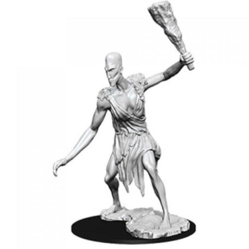D&D Nolzur's Marvelous Unpainted Miniatures (W8): Stone Giant