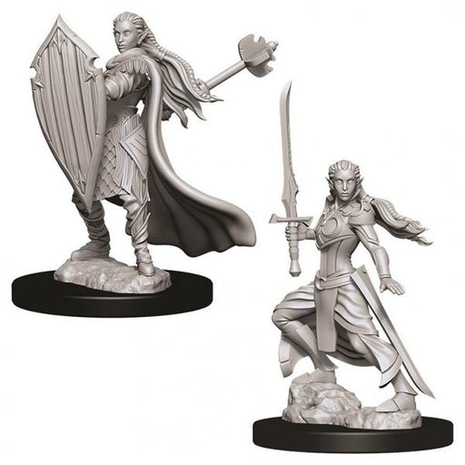 D&D Nolzur's Marvelous Unpainted Miniatures (W9): Elf Female Paladin