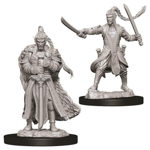 D&D Nolzur's Marvelous Unpainted Miniatures (W9): Elf Male Paladin