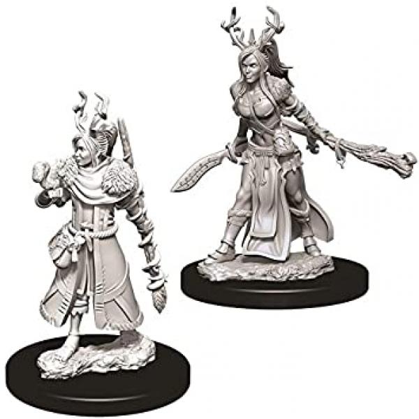 D&D Nolzur's Marvelous Unpainted Miniatures (W9): Human Female Druid
