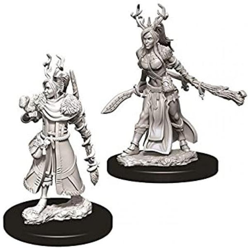 D&D Nolzur's Marvelous Unpainted Miniatures (W9): Human Female Druid