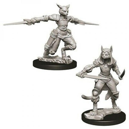 D&D Nolzur's Marvelous Unpainted Miniatures (W9): Tabaxi Female Rogue