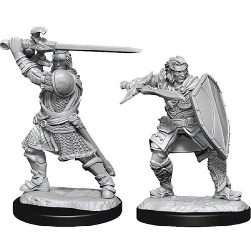 Human Paladin Male: D&D Nolzur's Marvelous Unpainted Miniatures (W14)
