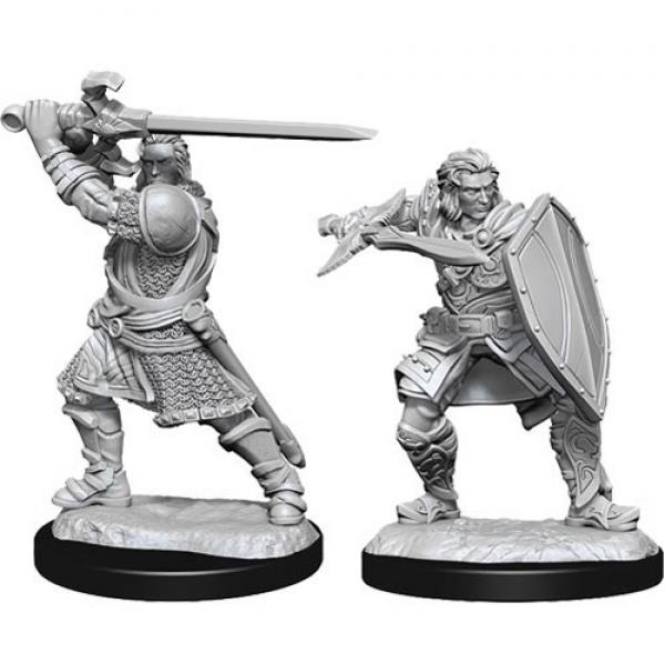 Human Paladin Male: D&D Nolzur's Marvelous Unpainted Miniatures (W14)
