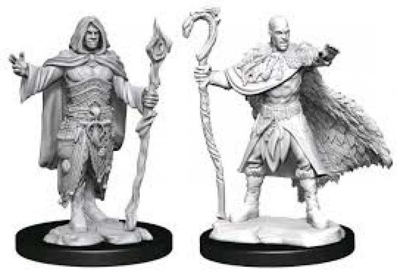 Human Druid Male: D&D Nolzur's Marvelous Unpainted Miniatures (W14)