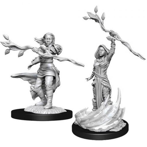 Human Druid Female: D&D Nolzur's Marvelous Unpainted Miniatures (W14)