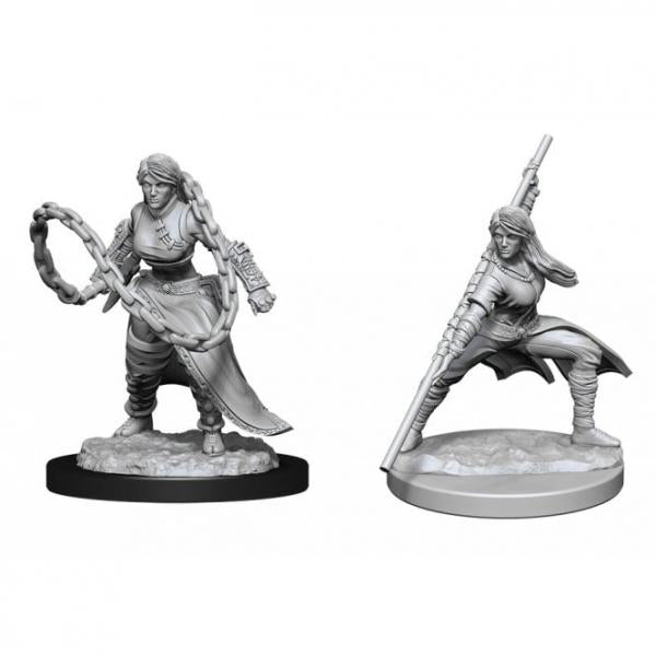 Human Monk Female: D&D Nolzur's Marvelous Unpainted Miniatures (W14)