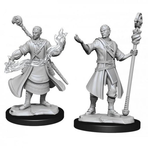 Half-Elf Wizard Male: D&D Nolzur's Marvelous Unpainted Miniatures (W14)