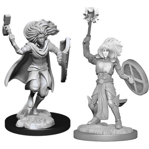 Changeling Cleric: D&D Nolzur's Marvelous Unpainted Miniatures (W14)