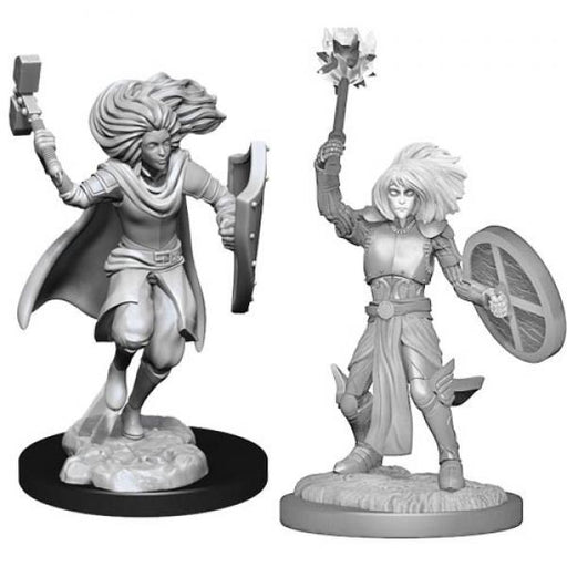 Changeling Cleric: D&D Nolzur's Marvelous Unpainted Miniatures (W14)
