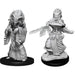 Night Hag & Dusk Hag: D&D Nolzur's Marvelous Unpainted Miniatures (W14)