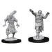 Scarecrow & Stone Cursed: D&D Nolzur's Marvelous Unpainted Miniatures (W14)