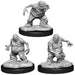 Manes: D&D Nolzur's Marvelous Unpainted Miniatures (W14)