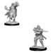 Hobgoblin Fighter Male&Hobgoblin Wizard Female: D&D Nolzur's Marvelous Miniatures (W15)