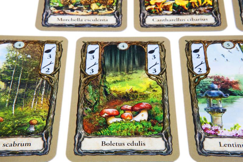 Fungi card game mushroom cards