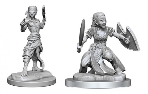 Shifter Fighter: D&D Nolzur's Marvelous Unpainted Miniatures (W20)