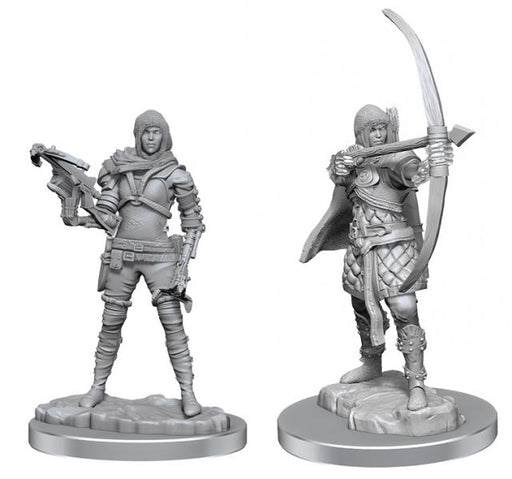 Human Rogue: WizKids Deep Cuts Unpainted Miniatures (W20)