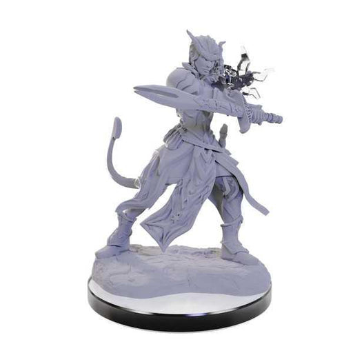 Tiefling Warlocks: D&D Nolzur's Marvelous Unpainted Miniatures (W22)