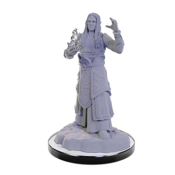 Elf Wizards: D&D Nolzur's Marvelous Unpainted Miniatures (W22)