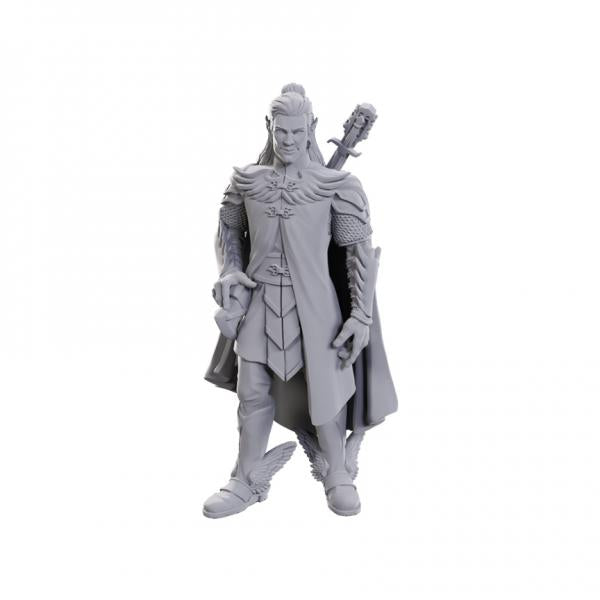 Dorian Storm: Critical Role Unpainted Miniatures (W23)