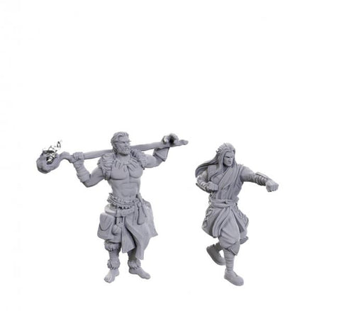 Archdruid & Martial Arts Adept: D&D Nolzur's Marvelous Miniatures (W24)