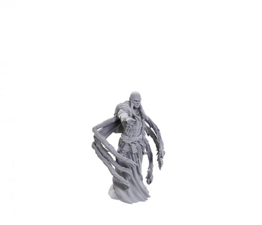 Kraken Priest: D&D Nolzur's Marvelous Miniatures (W24)