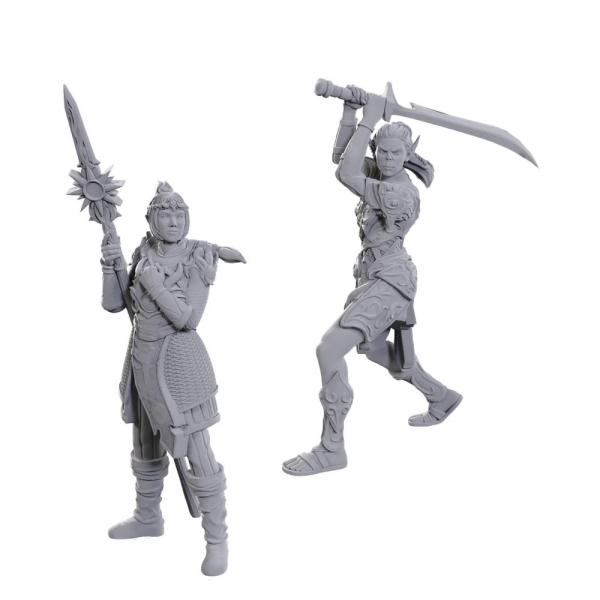 D&D Nolzur's Marvelous Miniatures: Special Edition Baldur's Gate 3 - Lae'zel & Shadowheart