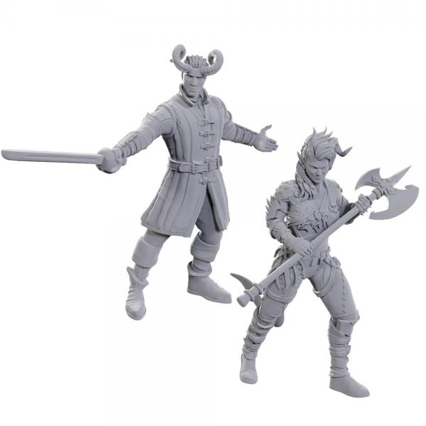 D&D Nolzur's Marvelous Miniatures: Special Edition Baldur's Gate 3 - Wyll & Karlach