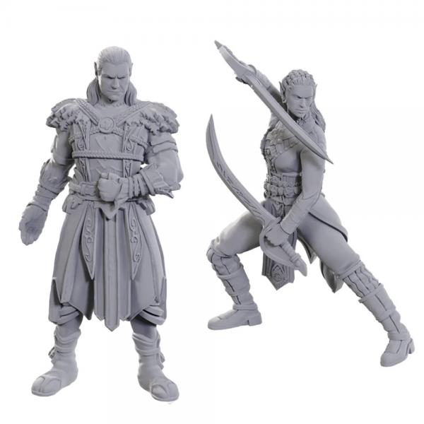 D&D Nolzur's Marvelous Unpainted Miniatures: Special Edition Baldur's Gate 3 - Jaheira & Halsin [Pre-order]